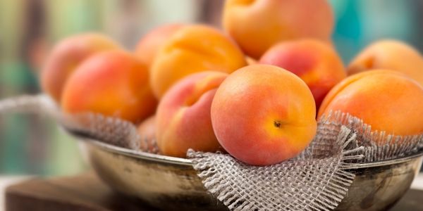 alkaline fruit apricot