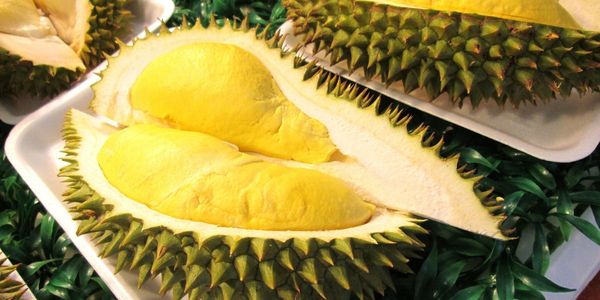 slice of Durian- fruits starting with d 