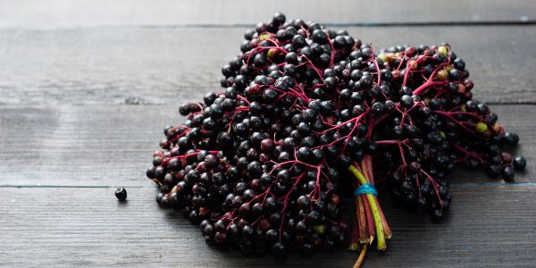 elderberry is a fruit starting with e