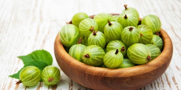 Emperor Gooseberry- fruit that starts with e
