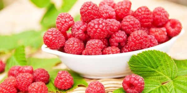 Ethiopian Raspberry is a fruit starting with e