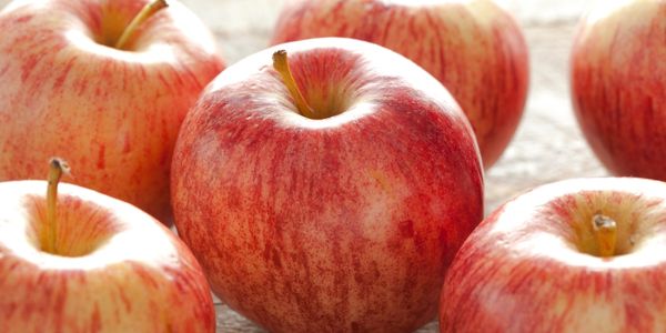 Gala Apples is a fruit that starts with G