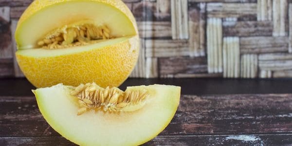 Galia Melon is a fruit that starts with g
