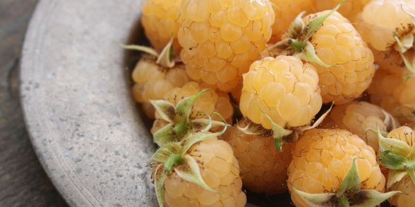 Gold Raspberry is a fruit that start with g