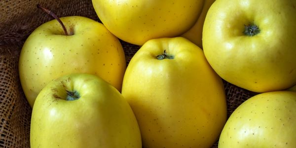 Golden Apple is a fruit that starts with g