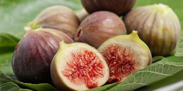 Greek Figs is a fruit that start with g