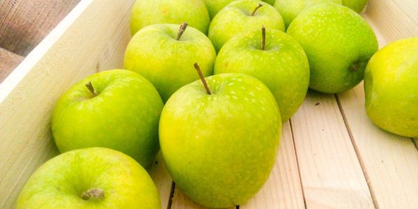 Green Apples is a fruit that start with g