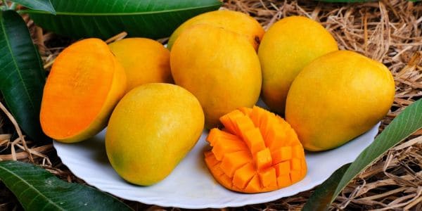 haapus mango