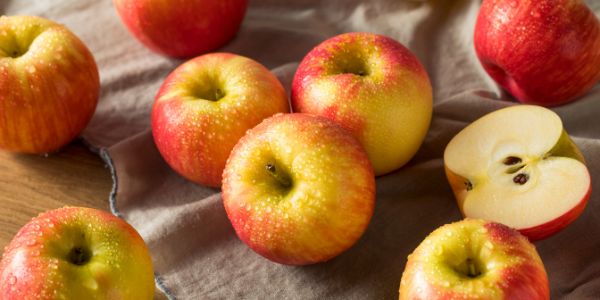 Honeycrisp Apple is a fruit starting with H
