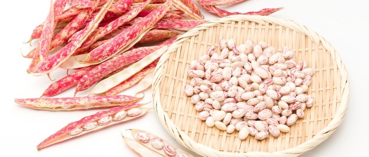 9 Best Substitutes For Borlotti Beans (Cranberry Beans)