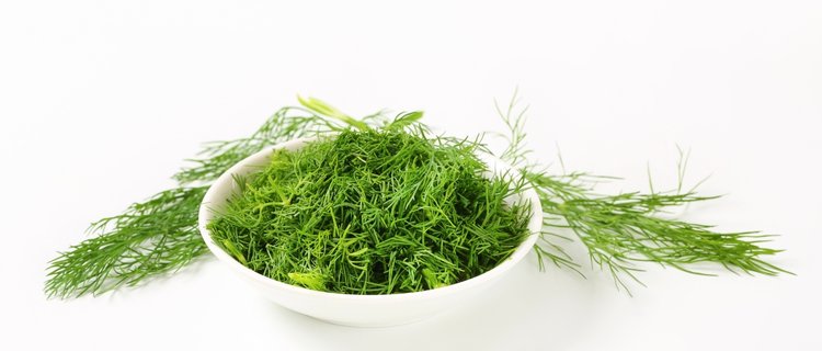 11 Easy Substitutes For Dill Weed