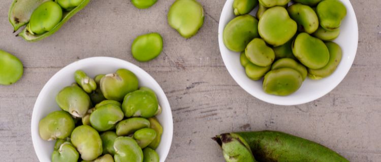 7 Best Substitutes for Fava Beans