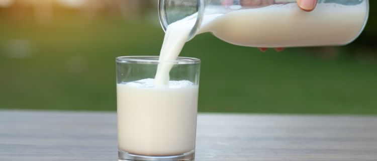 11 Best Substitutes For Milk In Cornbread