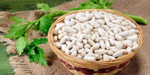 White Tepary Beans