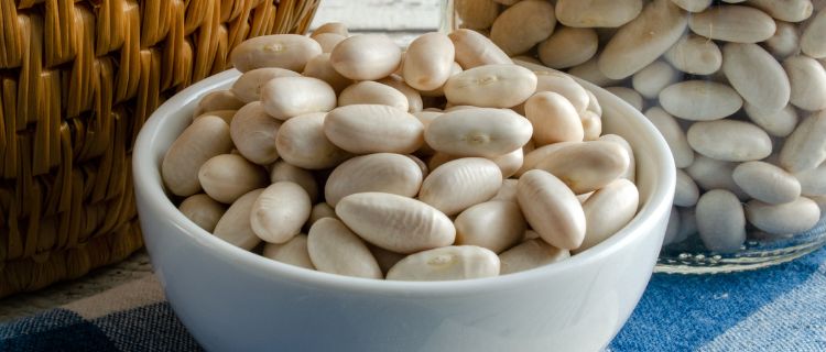 11 Best Substitutes for Cannellini Beans
