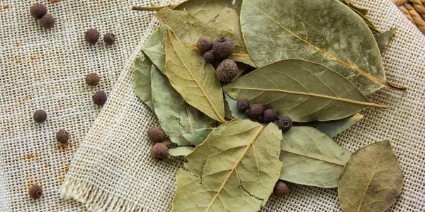 Bay leaf - substitute for oregano