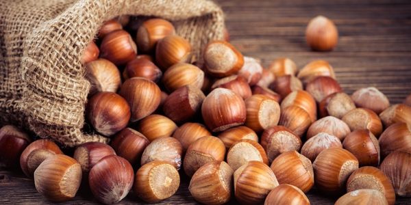 Hazelnuts: Substitues for pine nuts