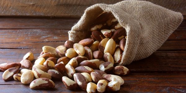 Brazil Nuts: Substitues for pine nuts