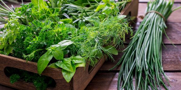 Fresh Herbs - Substitutes for Italian Seasoning