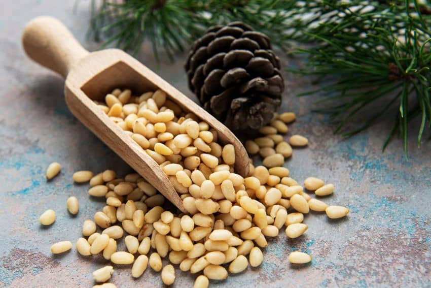 pine nut substitutes